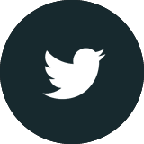 350 twitter icon